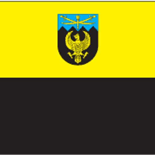 Distretto di Popil'nja