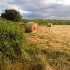 Hillfort and two bowl barrows at Halwell Camp