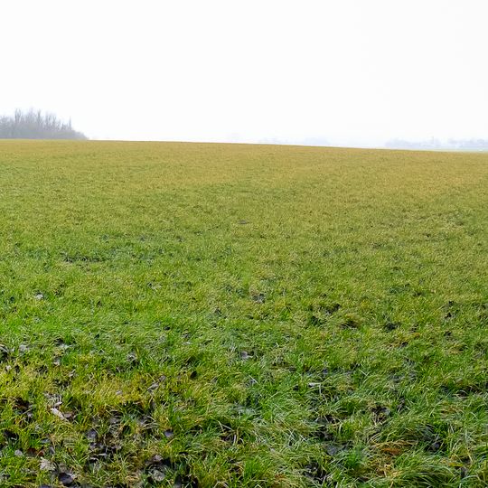 Terrein met een wierde