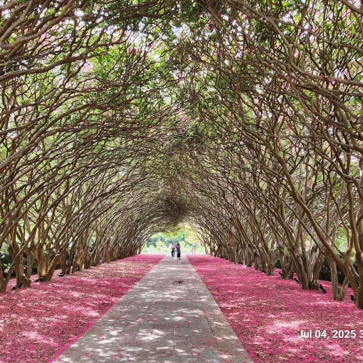 Botanical Garden