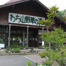わち山野草の森