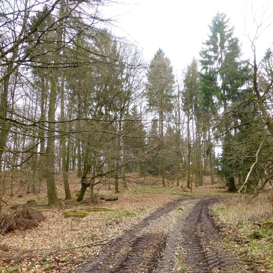 Weserbergland - Kaufunger Wald