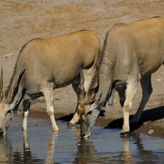 Tussen-die-Riviere Nature Reserve