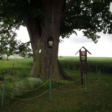 Obrázek západně od Rožmitálu pod Třemšínem