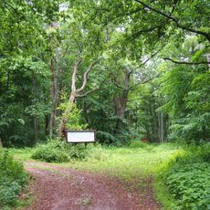 Nature reserve Łazy