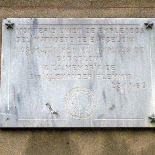 Montepio de Matarifes a Fleming