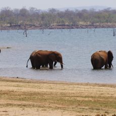 Matusadona National Park