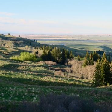 Besöka Alberta: Glaciärsjöar, vattenfall och kanadensiska Klippiga bergens parker