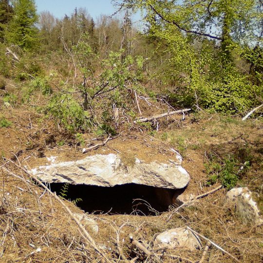 Steinkiste von Lundby Bakker