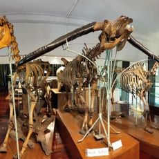 Chulalongkorn University Museum of Natural History