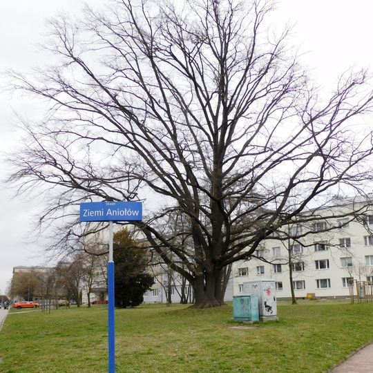 Skwer Ziemi Aniołów