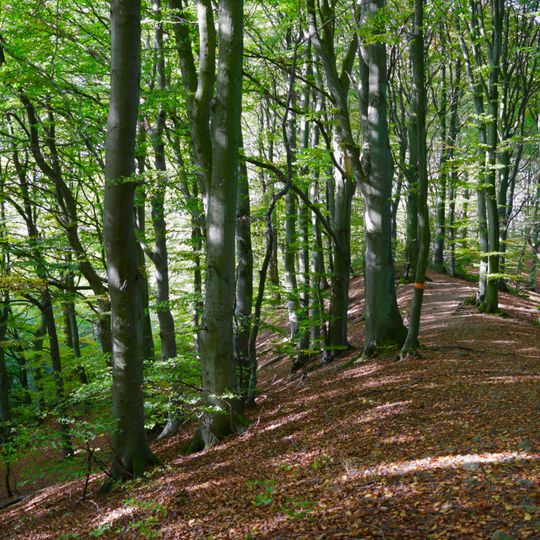 Hällestadsåsen-Borelund