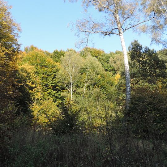 Винниківський заказник