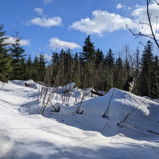 Rezerwat przyrody Plenisko