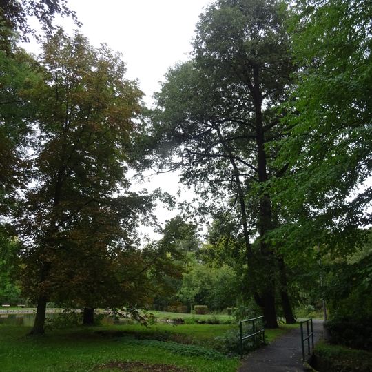 Třetí lávka přes napájecí kanál jižního jezera v Husových sadech v Sokolově