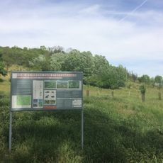 Brembacher Weinberge