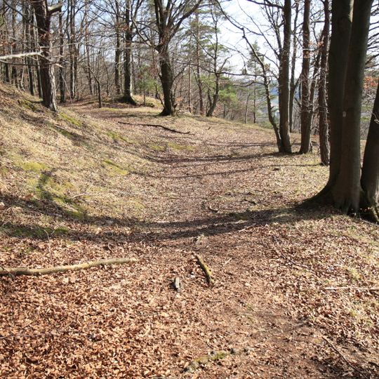 Ringwallanlage auf der Mühlkoppe