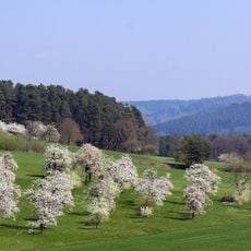Streuobst, Kopfeichen und Quellen am Hetzleser Berg