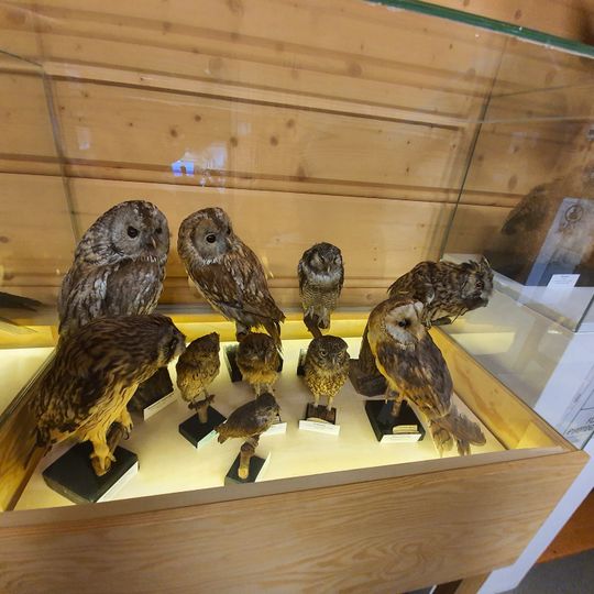 Centrum Promocji i Ochrony Torfowisk w Chochołowie