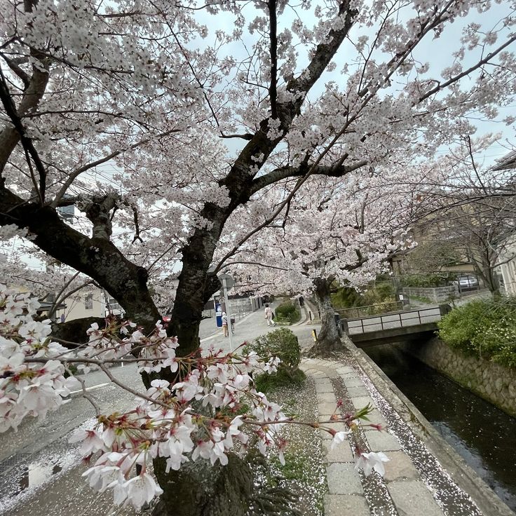 Chemin des Philosophes