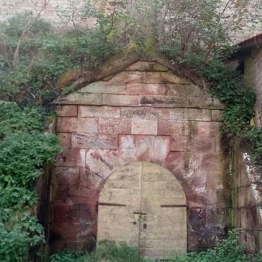 1 Fichte "Fichte auf Kellereingang"