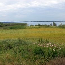 Пулемецький заказник