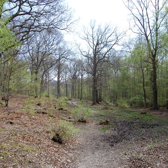 Flatropers Wood