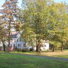 Naturdenkmal Fichte am Weg um das Schloss; Flur 4, Flurstück 44/1 in Sallgast