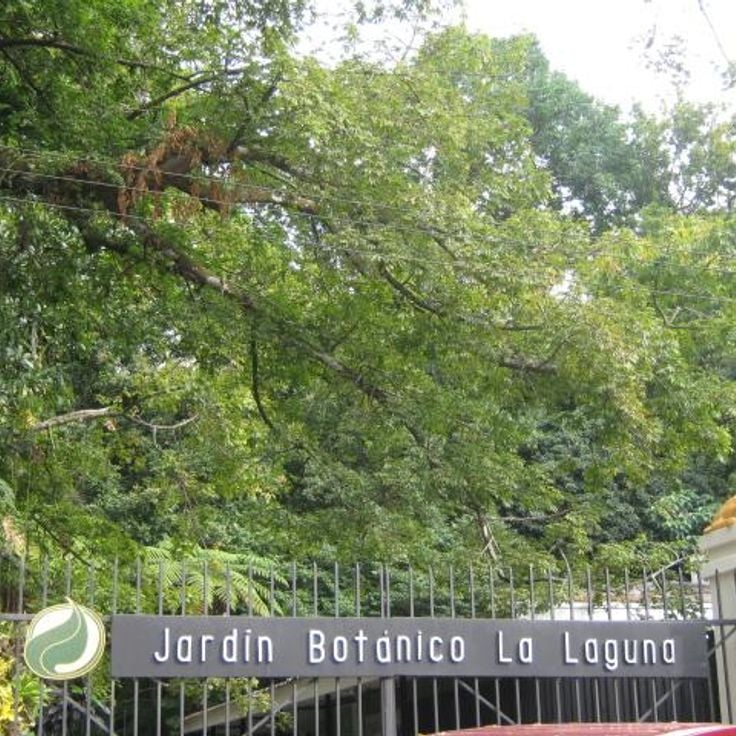 Botanischer Garten La Laguna