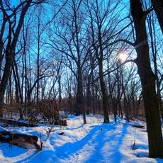 University of Wisconsin–Madison Arboretum