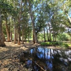 Ullals de Baltasar