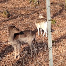 Parc Francis Bédat (des daims)