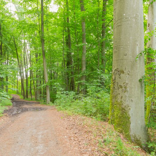 Jameler Wald, Tressower See und Moorsee