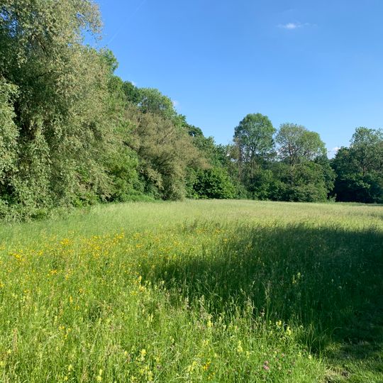 Feldgehölz mit Magerwiese am Krähenbach