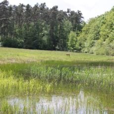 Böhler Bruch-Kandelwiese