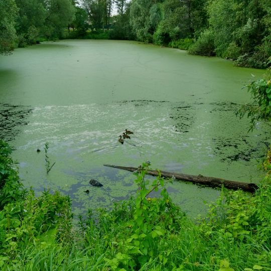 Парк бывшей архиерейской мызы регулярно-пейзажной планировки