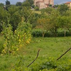 Eastern coast of Cantabria
