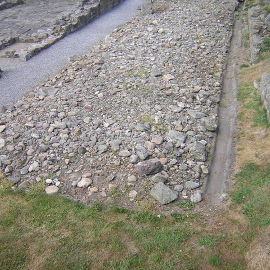 Binchester Roman Fort