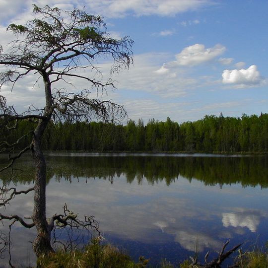 Parc d'État de Lake Bemidji