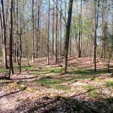 Hainbach forest tumuli group