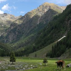 Val Fontana