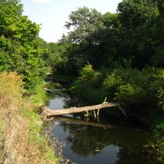 Viazivotskyi Reserve