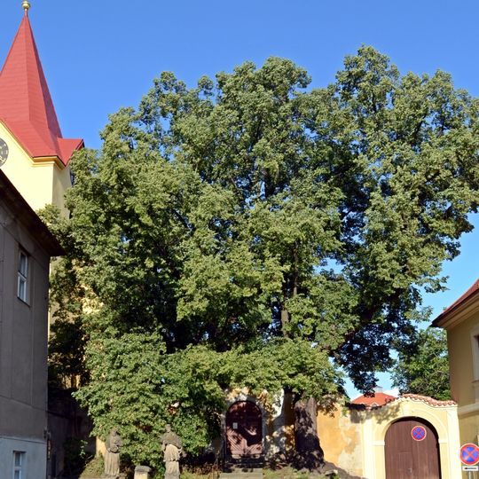 Lípy v Hostivicích