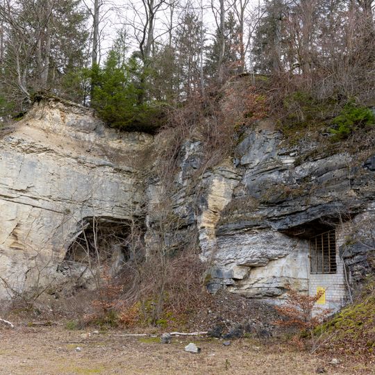 Fledermauswinterquartier im Asphaltstollen, Hils