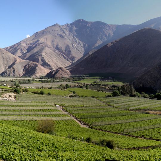Pisco Elqui