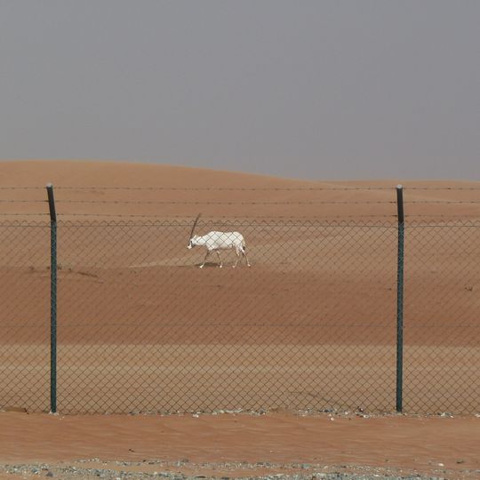 Arabian Oryx Sanctuary