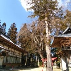 法全寺