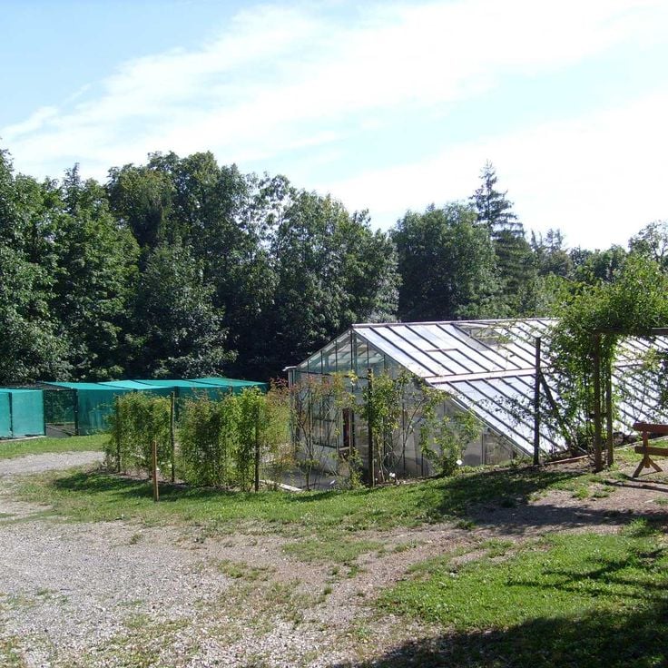 Conservatorio Botanico Alpino