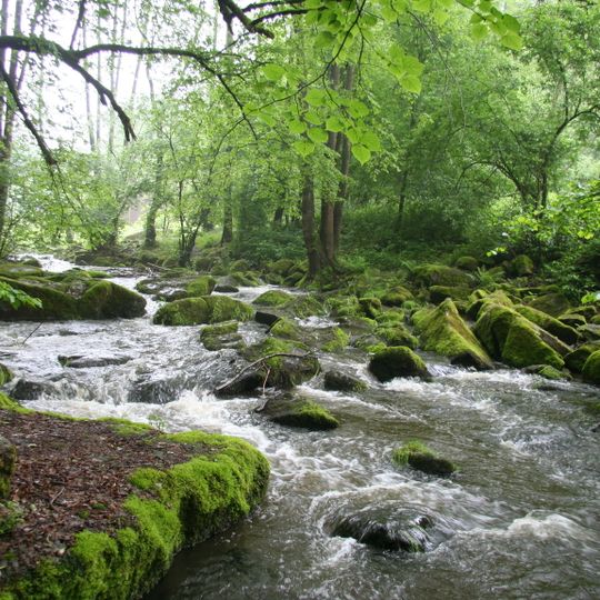 Crinitzer Wasser und Teiche im Kirchberger Granitgebiet