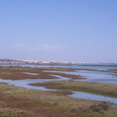 Bahía de Cádiz Natural Park